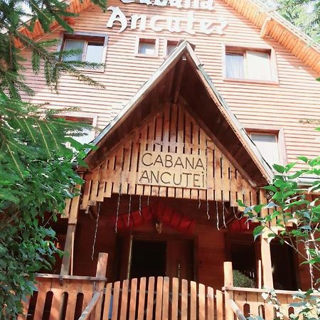Cabana Ancutei Rucar  Ngoại thất bức ảnh